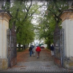 DSCN1454