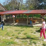 DSCN1670