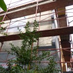 p1000512